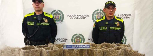 Policía ha logrado incautar 12 Kg de marihuana en el Dorado