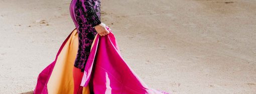 Posible retorno de la actividad Taurina en la Plaza Santamaría